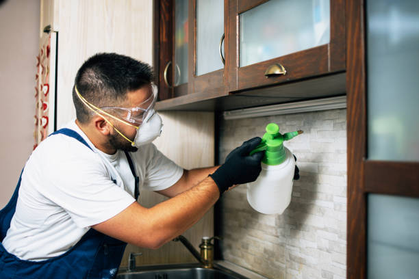 Best Pest Prevention Services  in Wiggins, MS