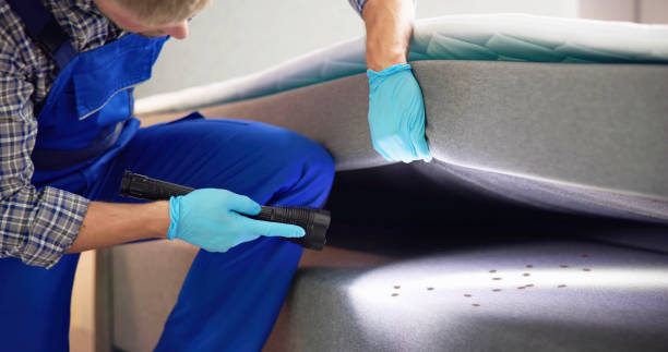 Best Wasp Removal Services  in Wiggins, MS